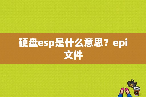 硬盘esp是什么意思？epi文件