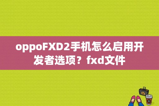 oppoFXD2手机怎么启用开发者选项？fxd文件-图1