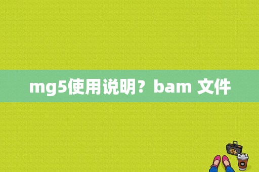 mg5使用说明？bam 文件