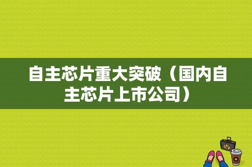 自主芯片重大突破（国内自主芯片上市公司）