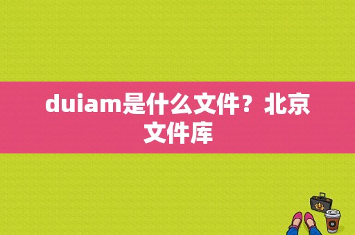 duiam是什么文件？北京文件库