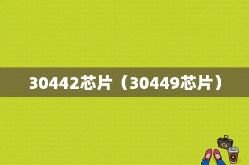 30442芯片（30449芯片）