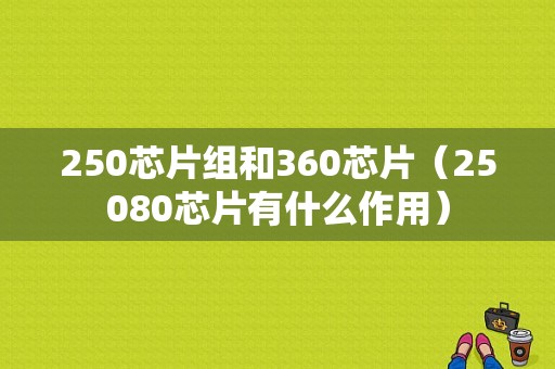 250芯片组和360芯片（25080芯片有什么作用）