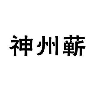 爱神州智能科技(神州薪艾)-图3 爱神州智能科技(神州薪艾)-图3