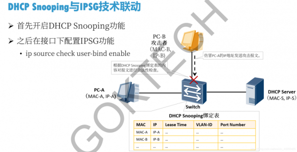 ips芯片架构（ip芯片是干什么的）