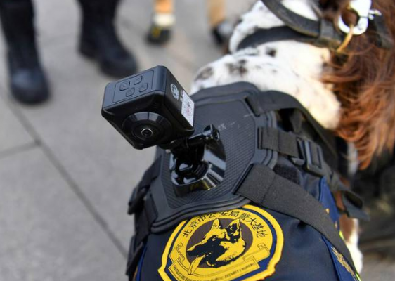 警犬记录仪(警用记录仪多少钱一个)-图2 警犬记录仪(警用记录仪多少钱一个)-图2