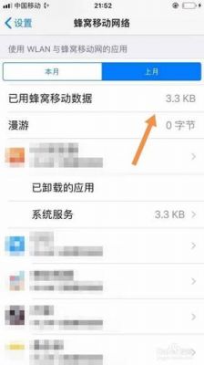 苹果手机查使用流量记录仪（iphone查流量用量）