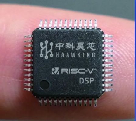 中国dsp芯片公司（dsp芯片的著名厂家）