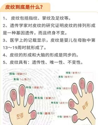 智能纹(智能纹在哪)-图2 智能纹(智能纹在哪)-图2