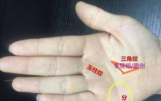智能纹(智能纹在哪)-图3 智能纹(智能纹在哪)-图3