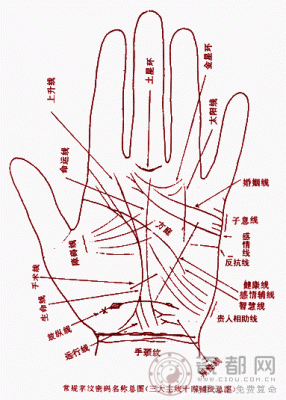 智能纹(智能纹在哪)-图1 智能纹(智能纹在哪)-图1